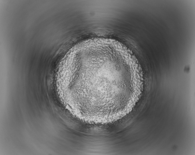 X0000114160365200911051510