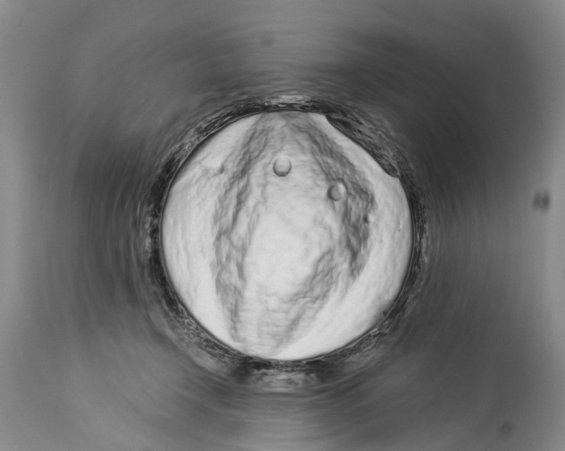 X0000114160366200911051510