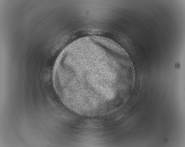 X0000114160367200911051510