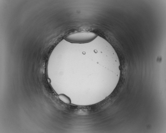X0000114160368200911051510