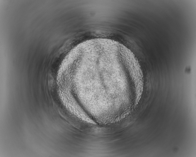 X0000114160371200911051510