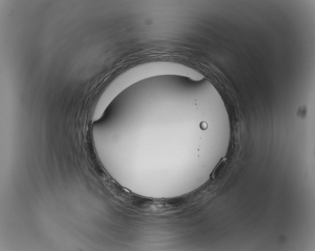 X0000114160372200911051510