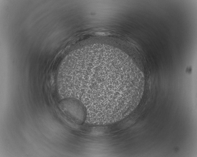 X0000114160373200911051510