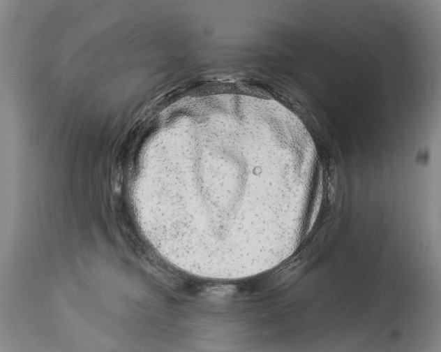 X0000114160374200911051510