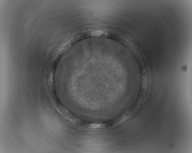 X0000114160375200911051510