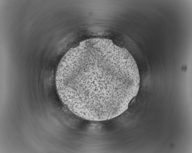 X0000114160376200911051510