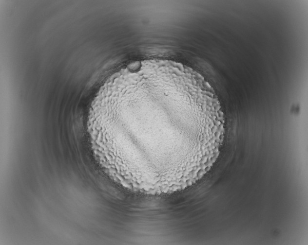 X0000114160377200911051510