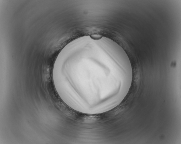 X0000114160378200911051510