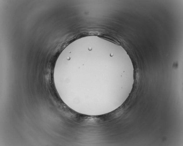 X0000114160379200911051510