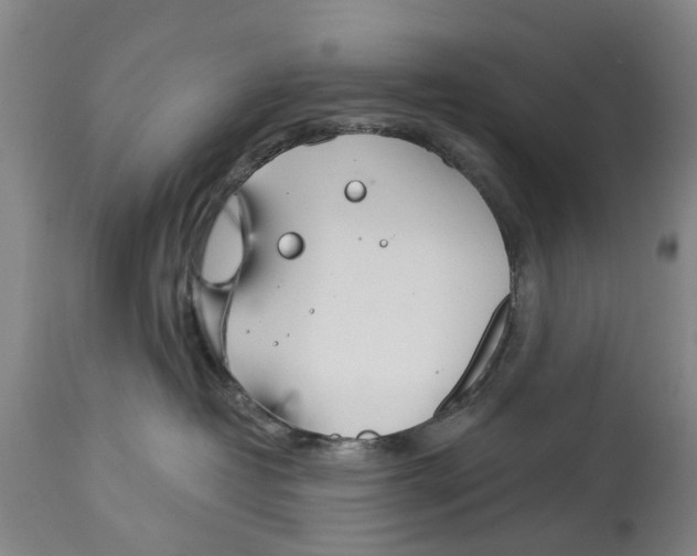 X0000114160382200911051510