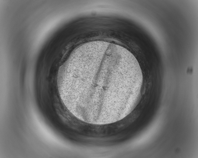 X0000114160383200911051510