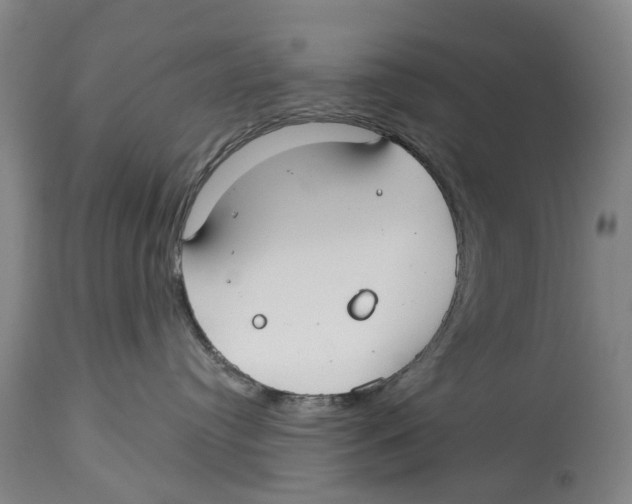X0000114160384200911051510