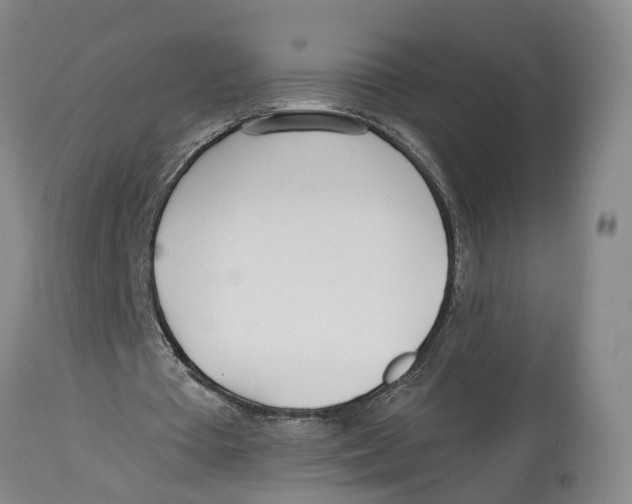 X0000114160385200911051510