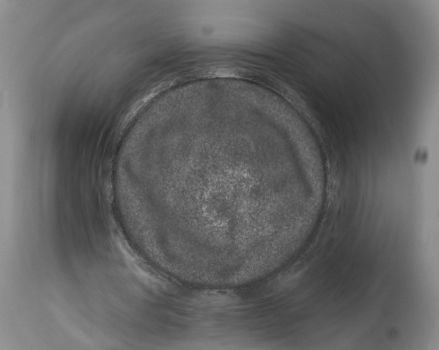 X0000114160386200911051510
