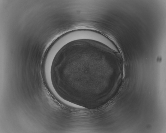 X0000114160387200911051510