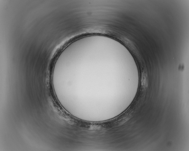 X0000114160388200911051510