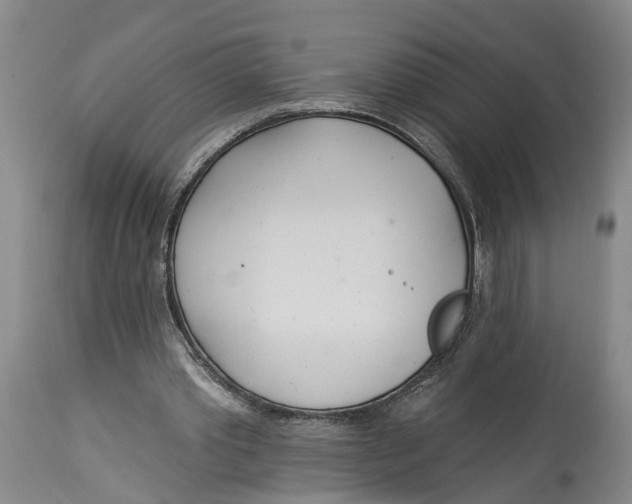 X0000114160389200911051510
