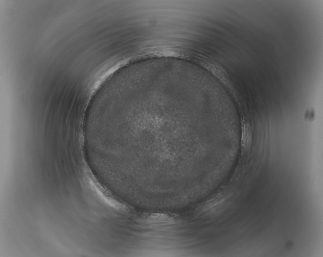 X0000114160390200911051510