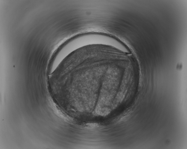 X0000114160391200911051510