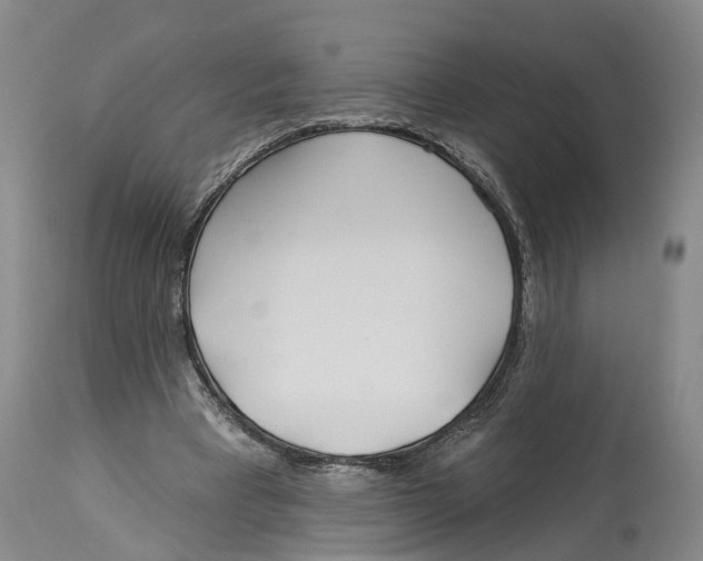 X0000114160393200911051510
