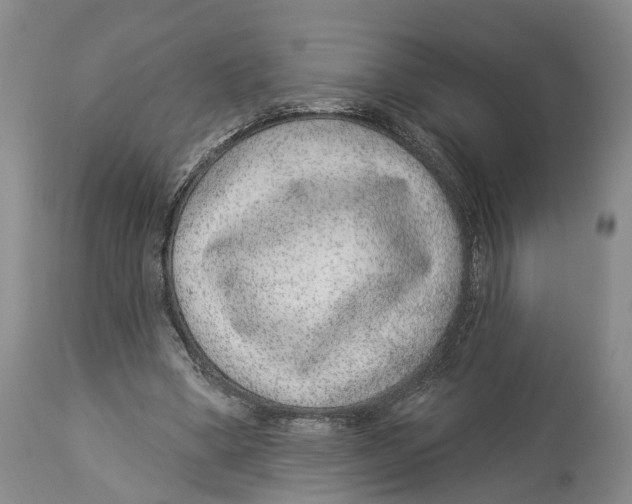 X0000114160394200911051510