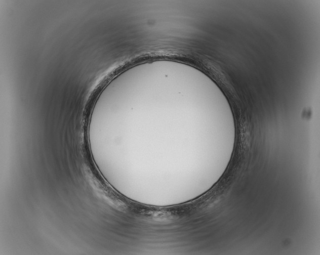 X0000114160395200911051510