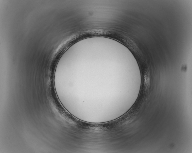 X0000114160396200911051510
