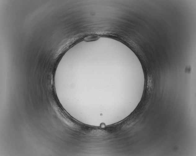 X0000114160397200911051510