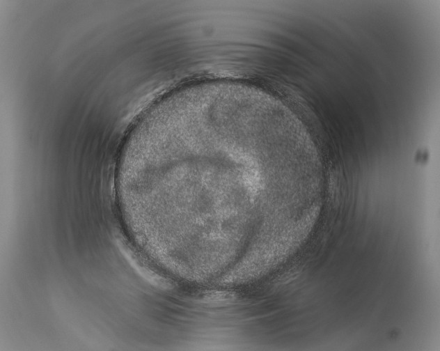 X0000114160398200911051510