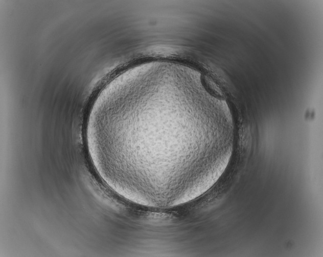 X0000114160399200911051510