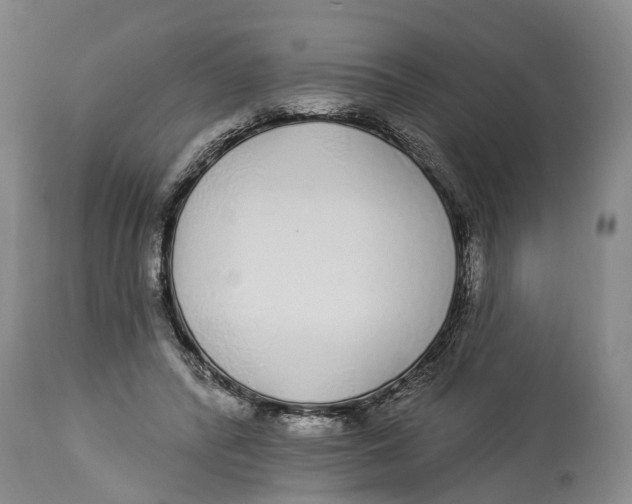 X0000114160400200911051510