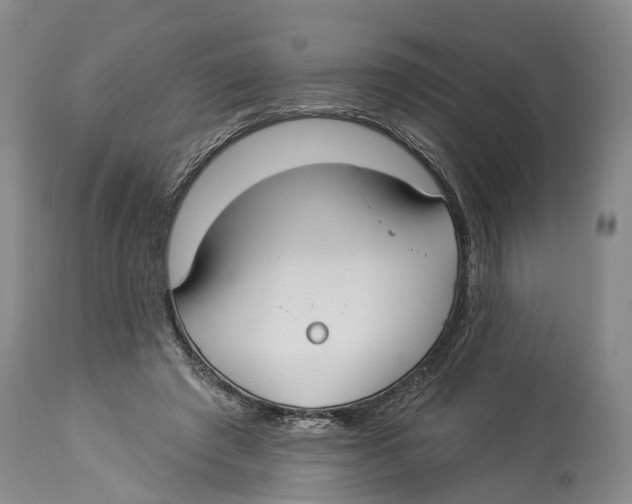 X0000114160401200911051510