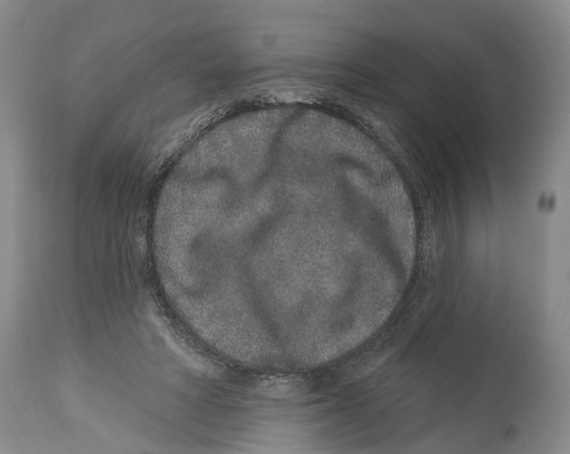 X0000114160402200911051509