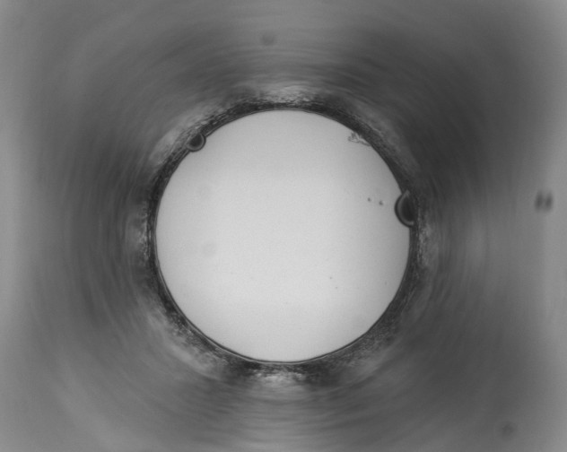X0000114160407200911051509