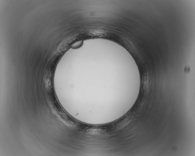 X0000114160408200911051509