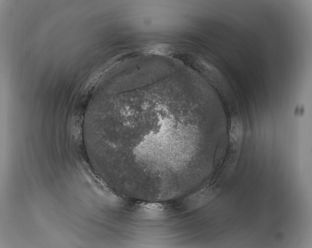X0000114160409200911051509