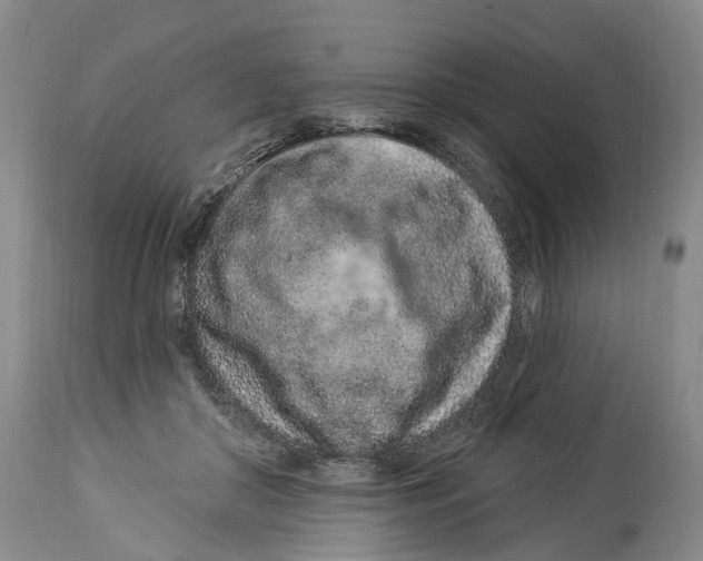 X0000114160410200911051509