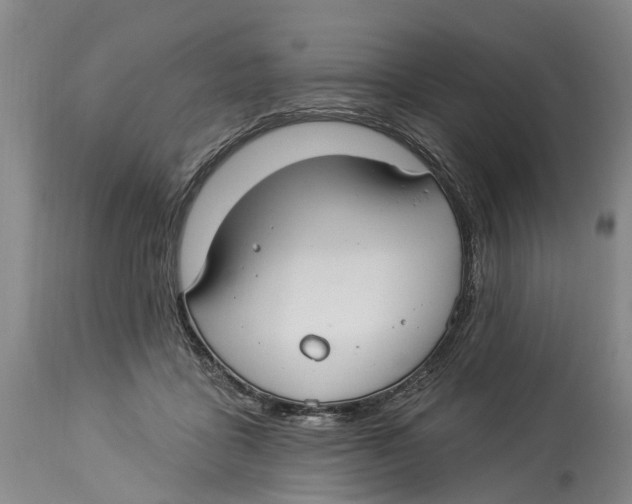 X0000114160411200911051509