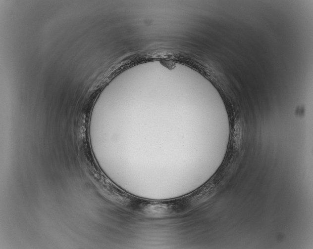X0000114160413200911051509