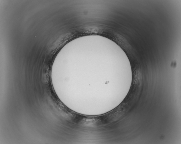 X0000114160414200911051509