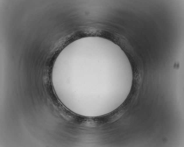 X0000114160416200911051509
