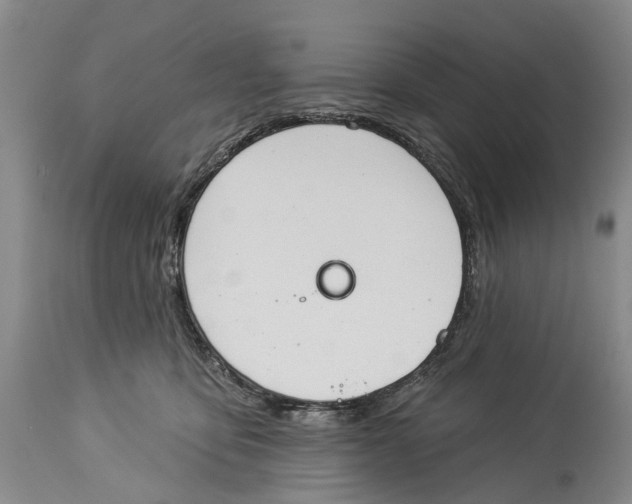 X0000114160419200911051509