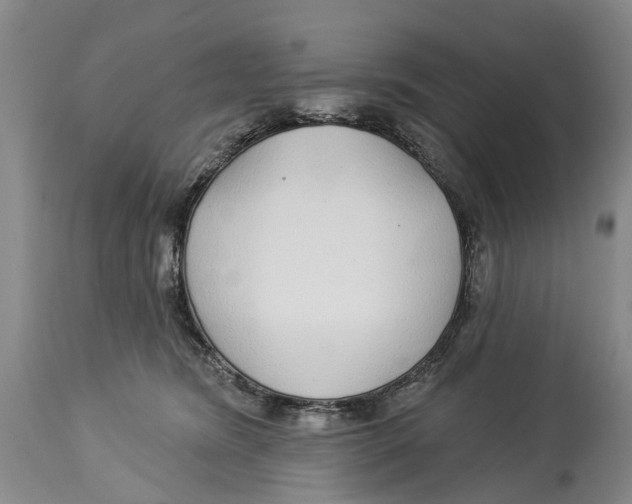 X0000114160420200911051509