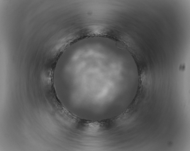 X0000114160423200911051509