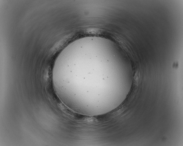 X0000114160424200911051509