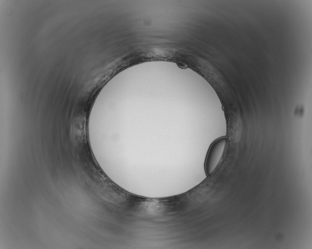 X0000114160425200911051509