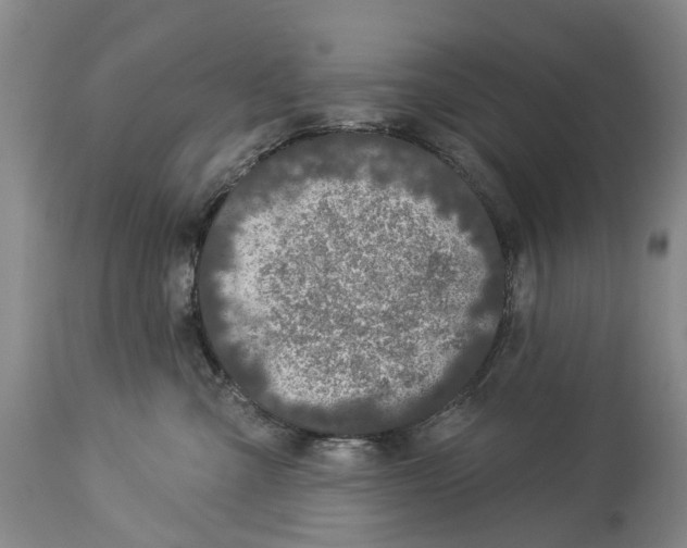 X0000114160427200911051509