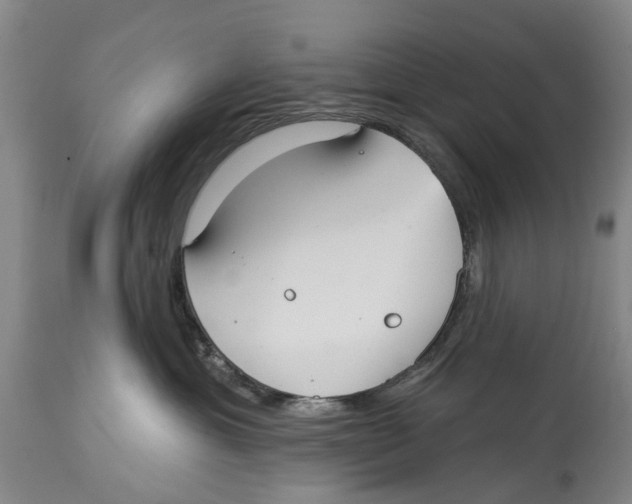 X0000114160429200911051509