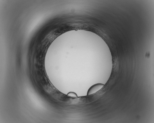 X0000114160430200911051509