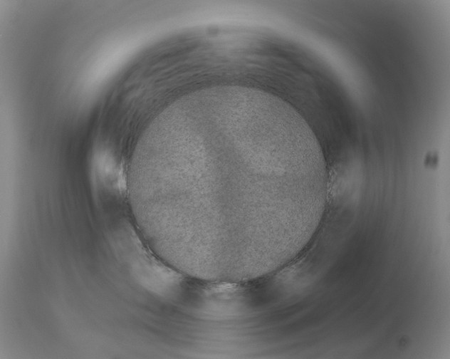 X0000114160431200911051509